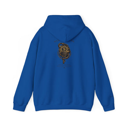 SOL INVICTUS HOODIE