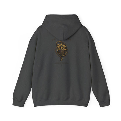 SOL INVICTUS HOODIE