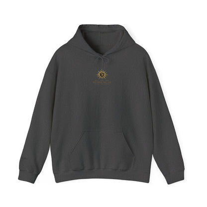 SOL INVICTUS HOODIE